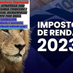 2023 - IMPOSTO DE RENDA 06 - - Cópia