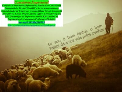 Decore Declaração Comprobatoria de Renda de Profissional Liberal