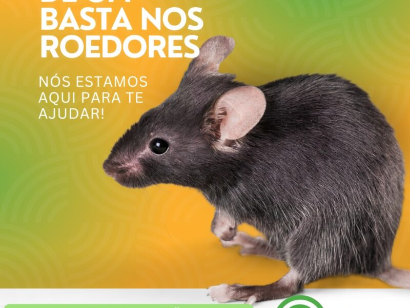 Dedetizadora em Porto Alegre