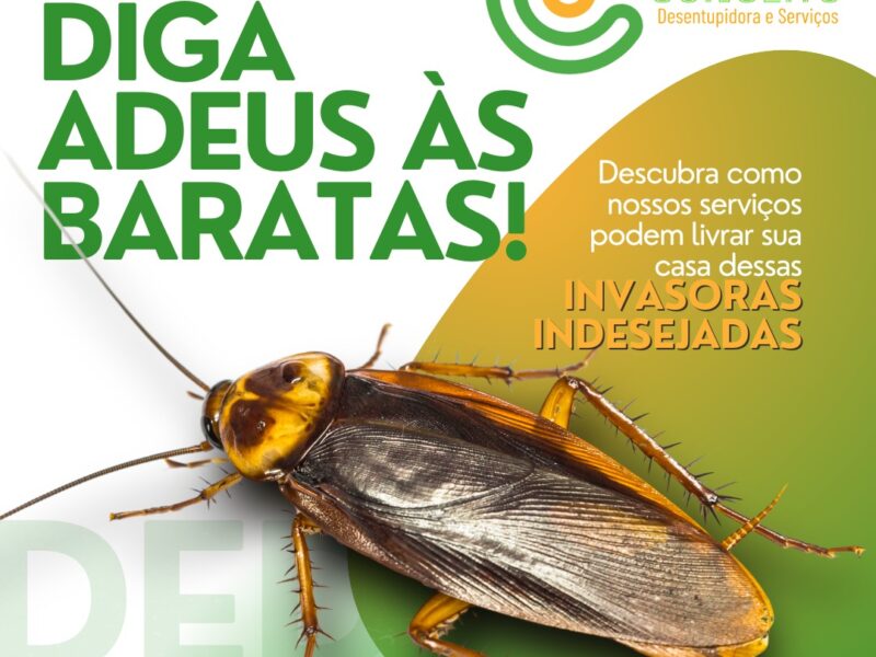 Dedetizadora em Porto Alegre