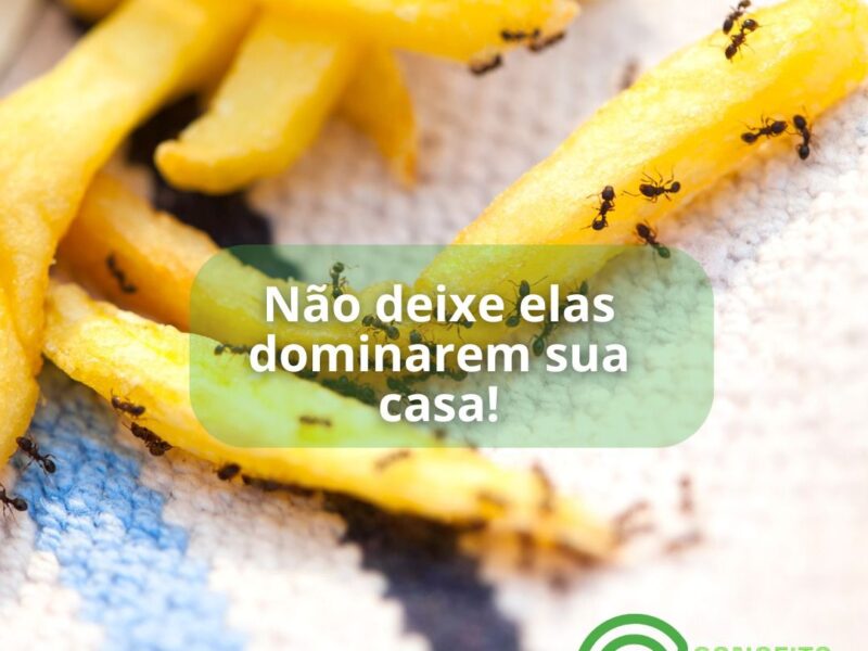 Dedetizadora em Porto Alegre