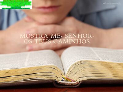 Declaração Anual Mei Imposto de renda 2025, declaraçao