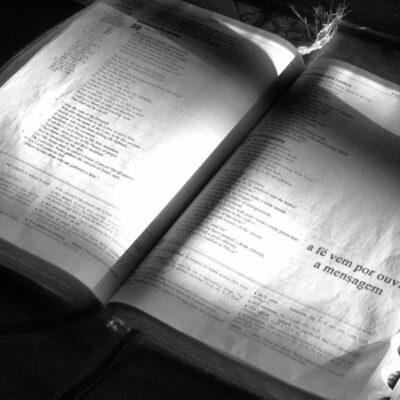 Business Brasil A ssessoria